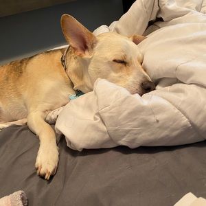 Meet your Posher, Genevieve